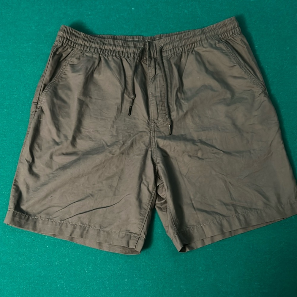 Patagonia Volley Shorts